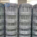 Galvanized Cattle Wire Mesh Field Fence For Sale / Cattle Fence